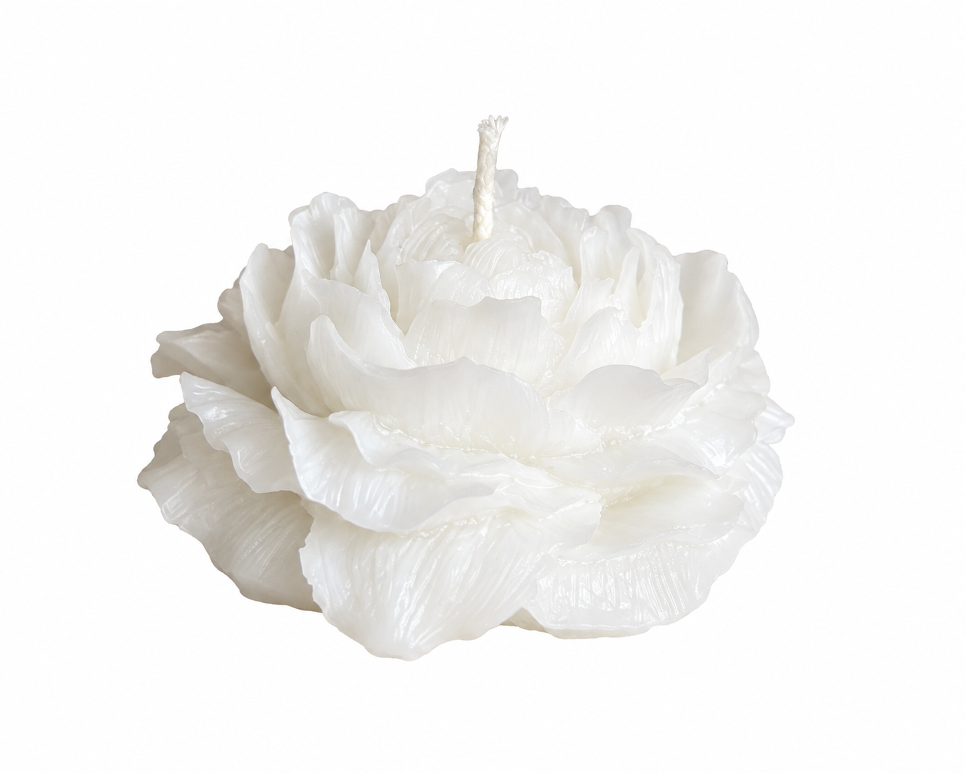 Peony Flower